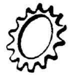 External Tooth Lock Washers