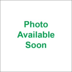 Rokk USB Charger Dual PMG