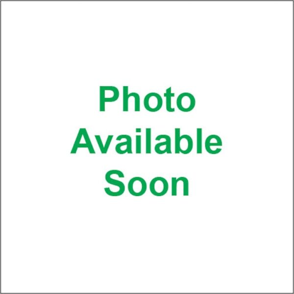 Rokk USB Charger Dual PMG