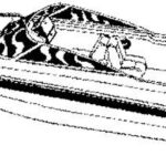 Styled-To-Fit Travel Covers