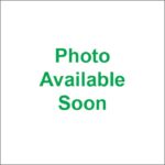 Flange Mount Impeller Cooling Pump - F5B-9