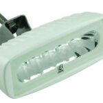 Caprera2 Dual Color LED Flood Light