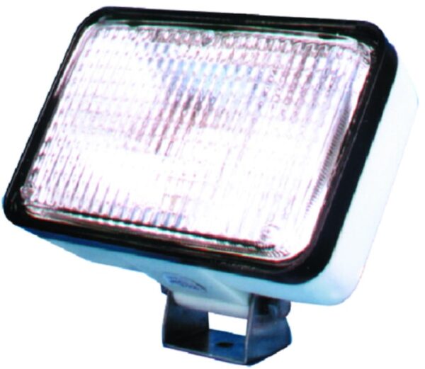 Halogen Flood Light