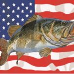 Carey Chen US Fish Flag