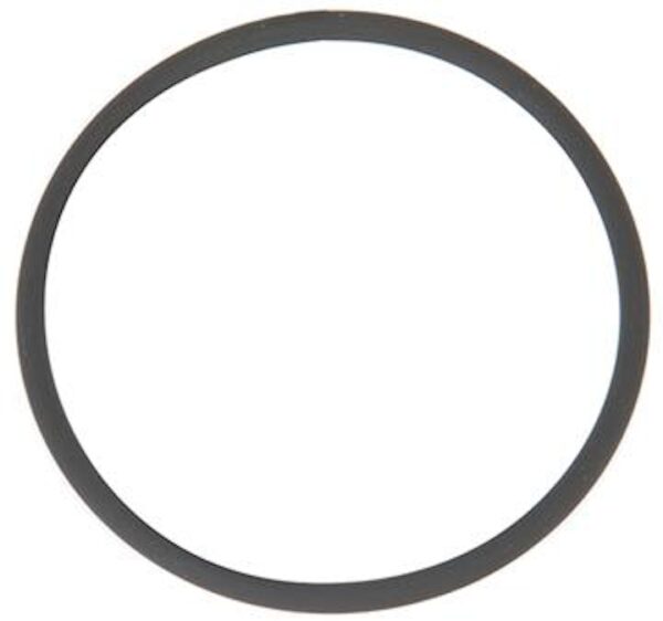 Yamaha Fuel Filter Bowl Gasket