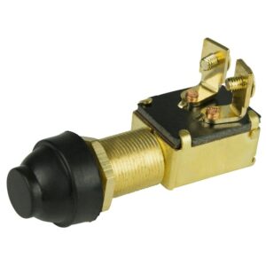 Push Button Switch with Cap