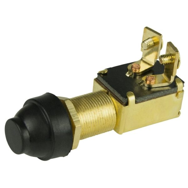 Push Button Switch with Cap