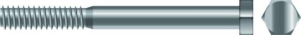 5/16-18x1 Hxcap Scr Ss 25/Bg