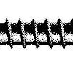 #10x1 1/4 Sq Flt SMS Ss 100/Bg